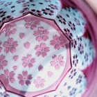 Suna-Kiriko Glassware: Sakura Saku (Blooming Sakura), Sake Glass 115ml, Shiina Kiriko 